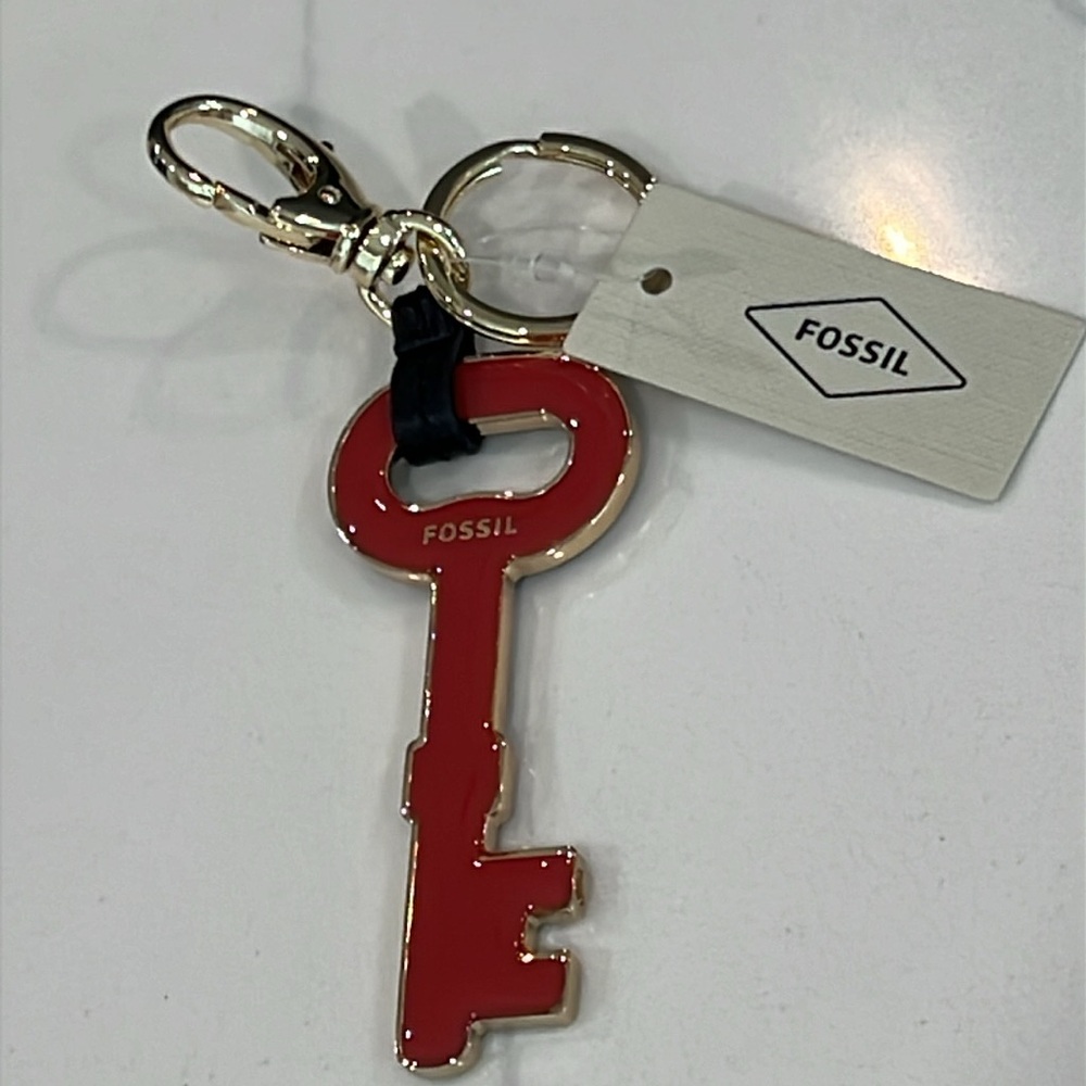 Cute.๐๏ธ๐๏ธFOSSIL Key Chain - Picture 7 of 12